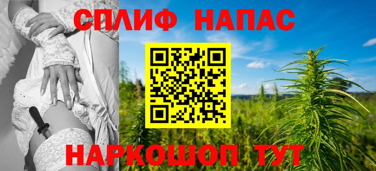 Камышин  Бошки марихуана Amnesia  Бошки марихуана сатива  Вход с VPN 